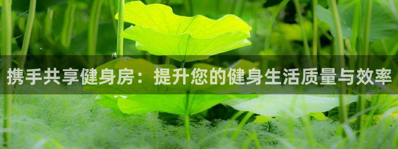 龙八棋牌