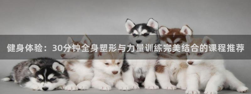 龙8国际官网老虎机