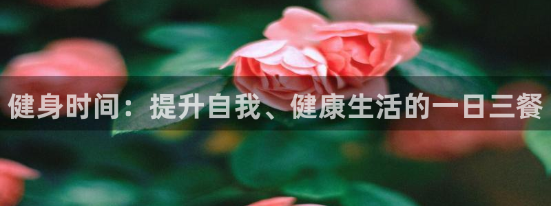 龙8国际官网多少