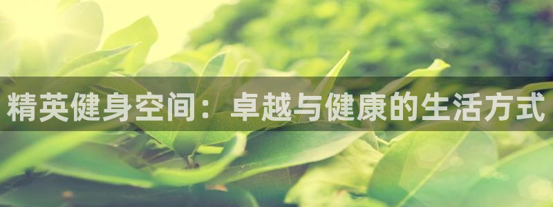 龙8国际网址是什么