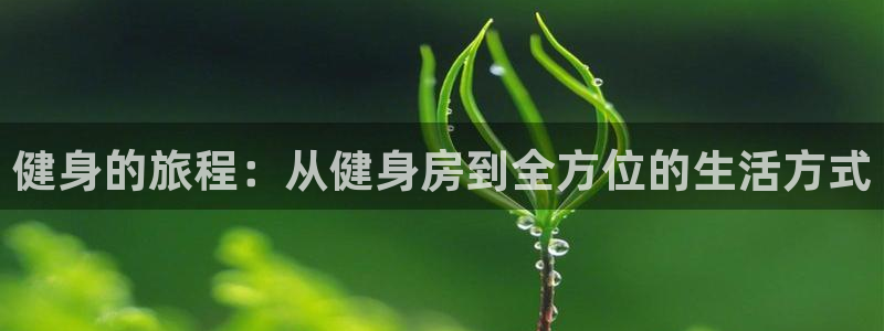 龙8国际开户