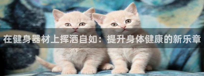 龙8棋牌官网