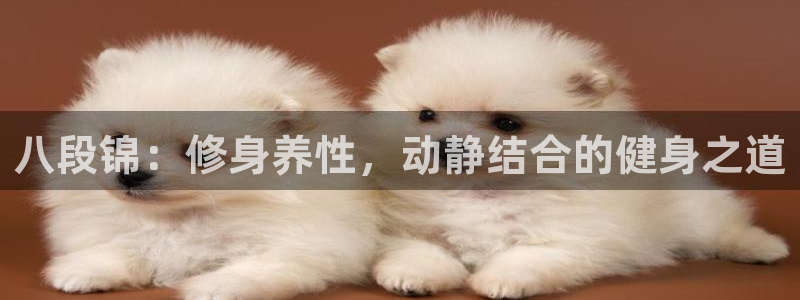 龙8国际网址多少