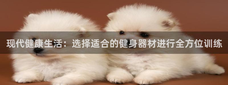龙8国际app下载
