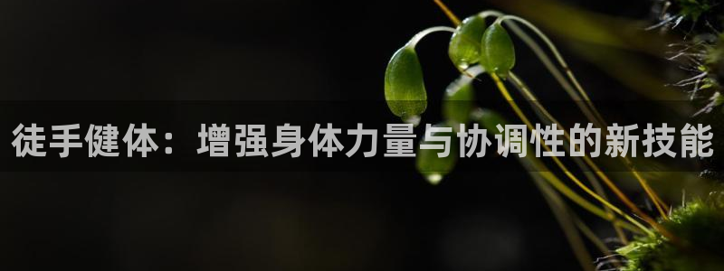 国际龙8官网pt客户端下载