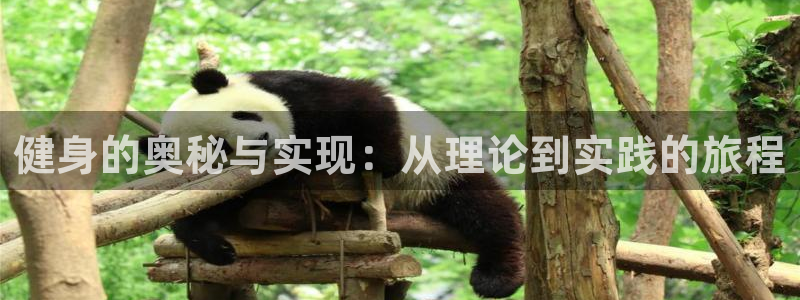 龙八国际app客户端下载