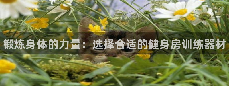 龙8国际2023官方版fxzls安卓-1.2.9 -安卓