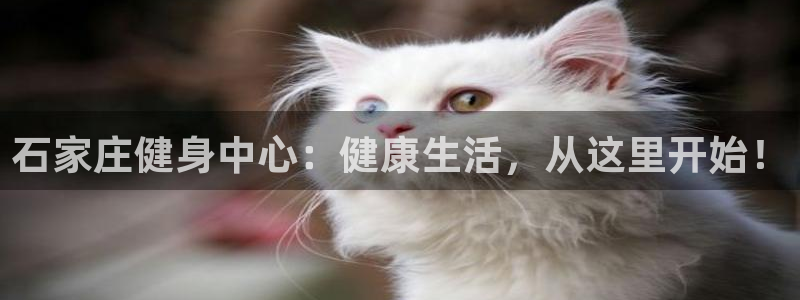 龙八国际娱乐官方网站