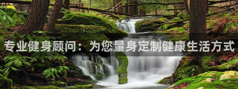 龙8游戏官网
