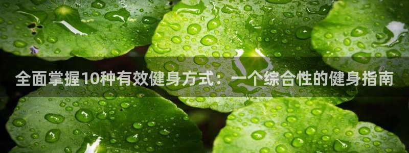 国际龙8官方网站