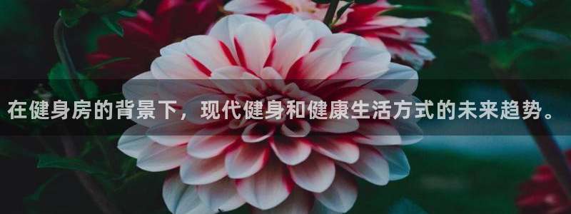 国际龙8hk