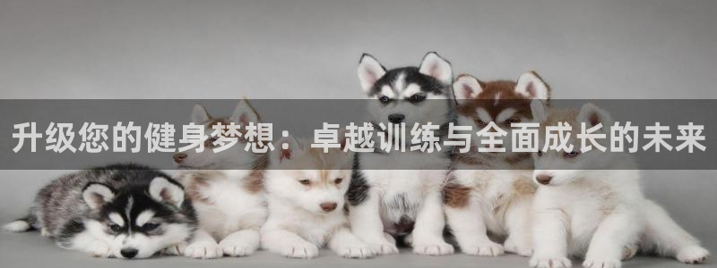 龙8国际pt官方网址
