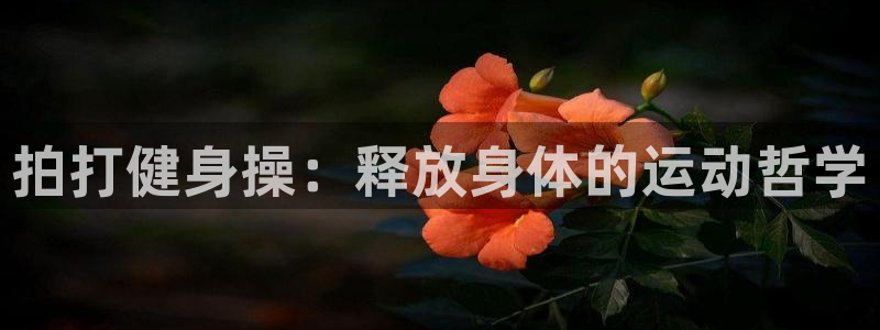龙8国际-我的