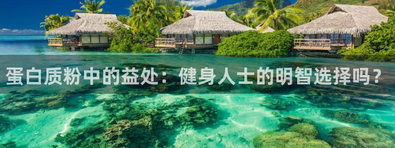 龙8游戏城网址