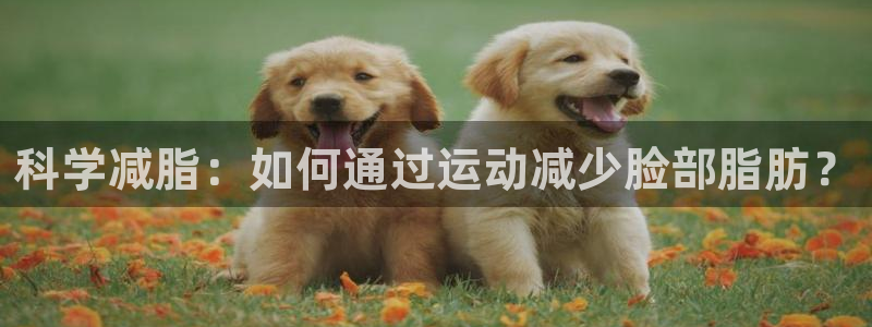 龙8国际提现