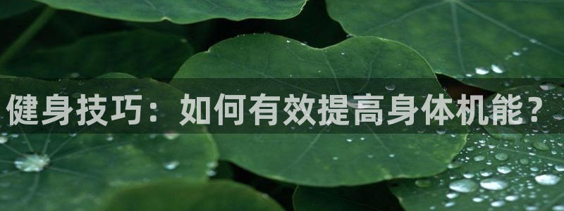 龙8国际唯一官网