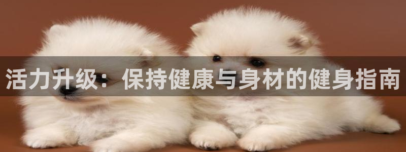 国际龙8唯一登陆