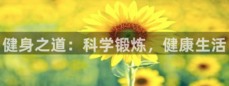 龙8国际app下载