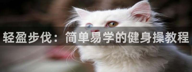 龙8国际老虎机电子