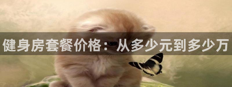 龙8国际官方网手机版下载安装