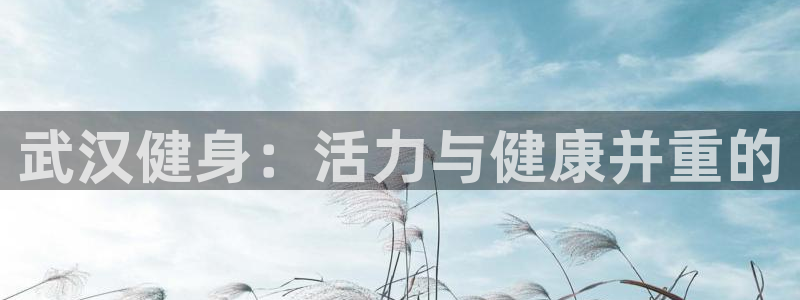 龙8国际服