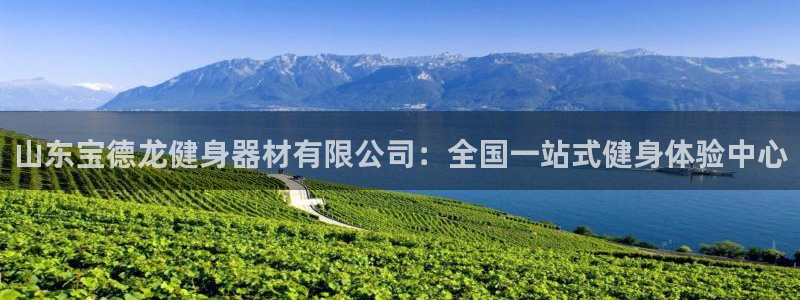 龙8国际官网版