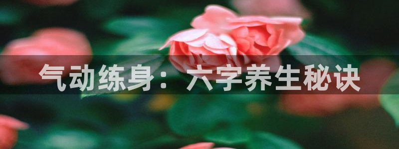 龙8国际会员注册