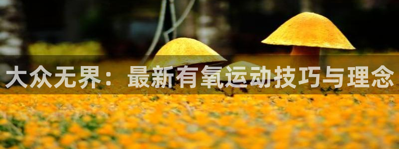 龙8国际手机登录|欢迎您的到来!