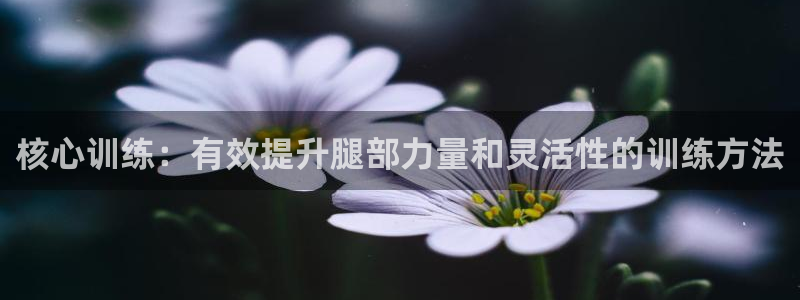 龙8国际手机版注册