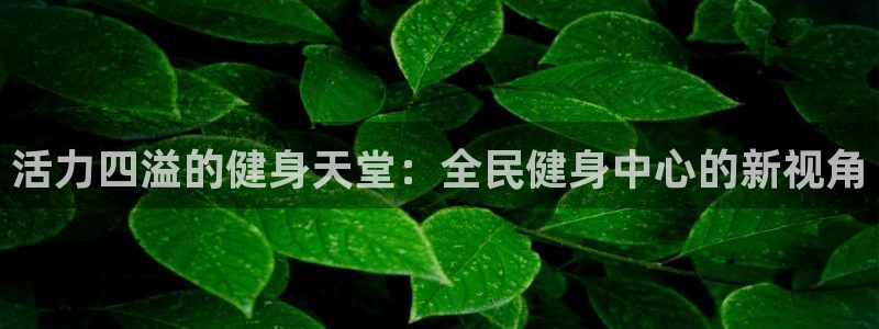龙8国际手机版下载