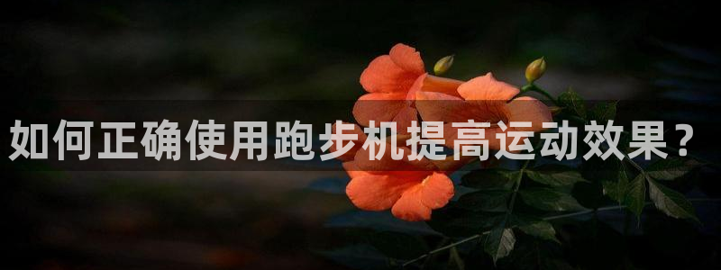 龙8国际官网注册