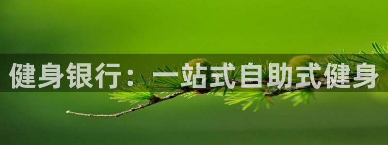 龙8游戏国际登录