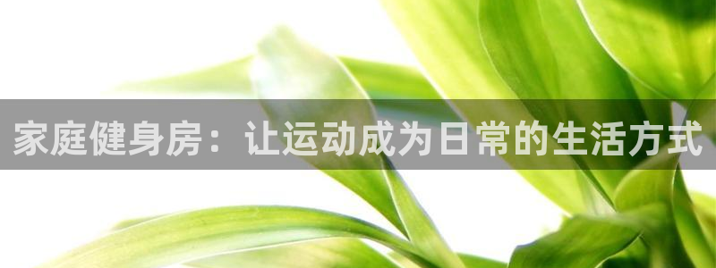 龙8国际手机游戏官网下载