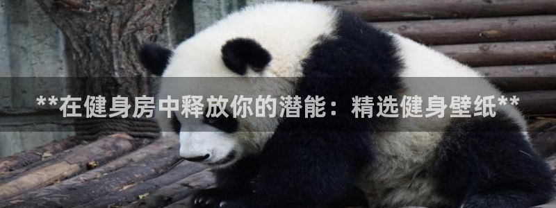 龙8国际手机官网下载