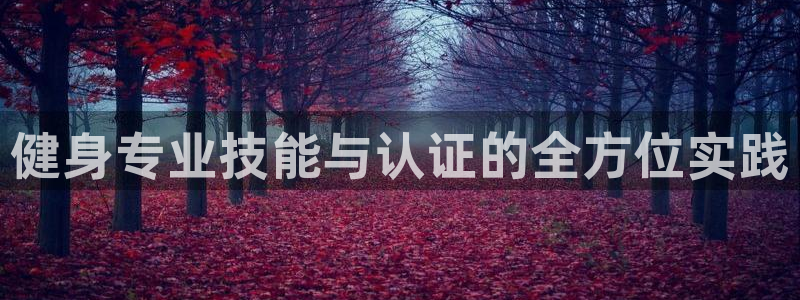 龙8国际2021官方网站pkufli1.291