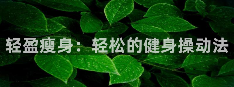 龙8电子游艺网址多少