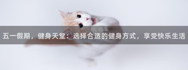 龙八国际服官网站