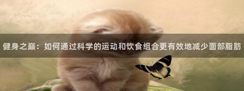 龙八国际官方网