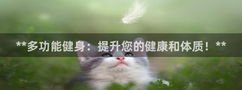 龙八国际下载链接