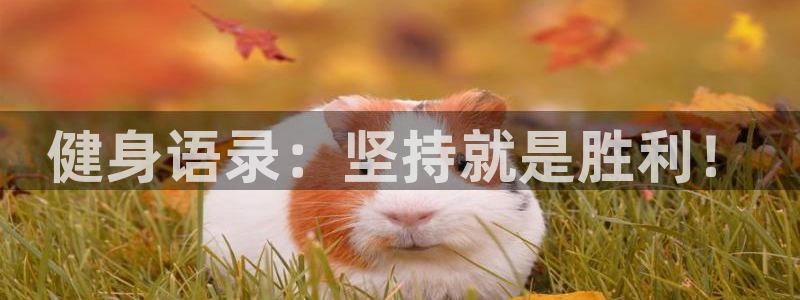 龙8国际登录地址