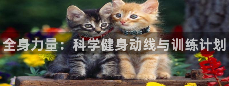 国际龙8官网pt客户端