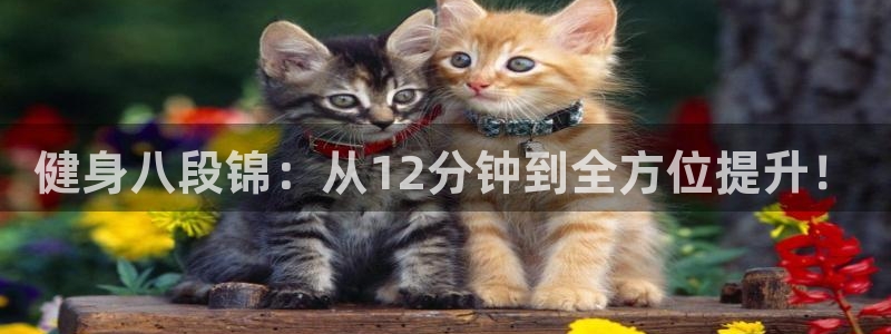 龙8国际官方网址