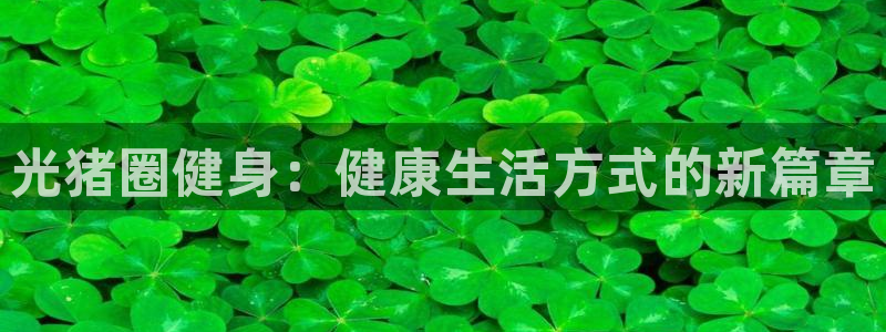 龙八国际网页登录